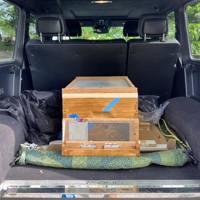 transport of bees