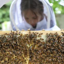 young beekeeper