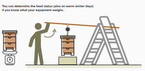 Weigh complete hive