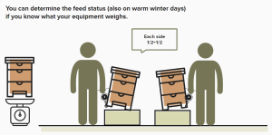 Weigh half hive per side