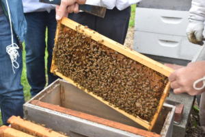 HVNB_Jorik_Splits_0017